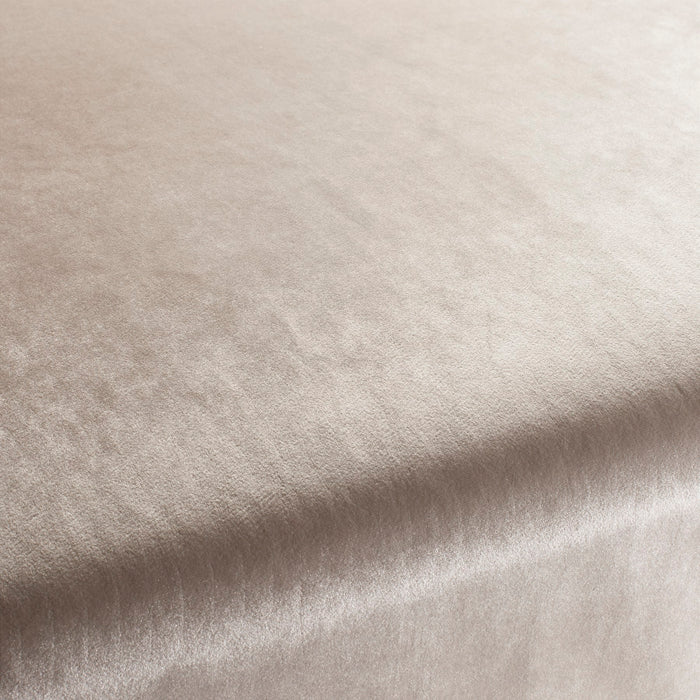 Carlucci Palazzo Velvet Reloaded 070 Fabric CA1175/070