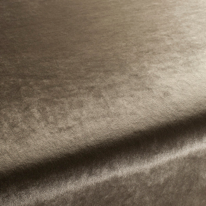 Carlucci Palazzo Velvet Reloaded 071 Fabric CA1175/071