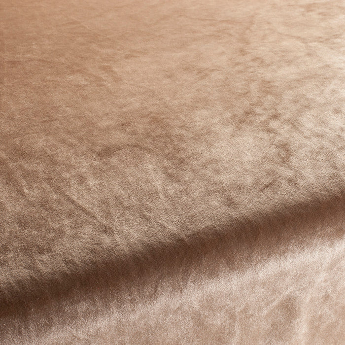 Carlucci Palazzo Velvet Reloaded 072 Fabric Sample CA1175/072
