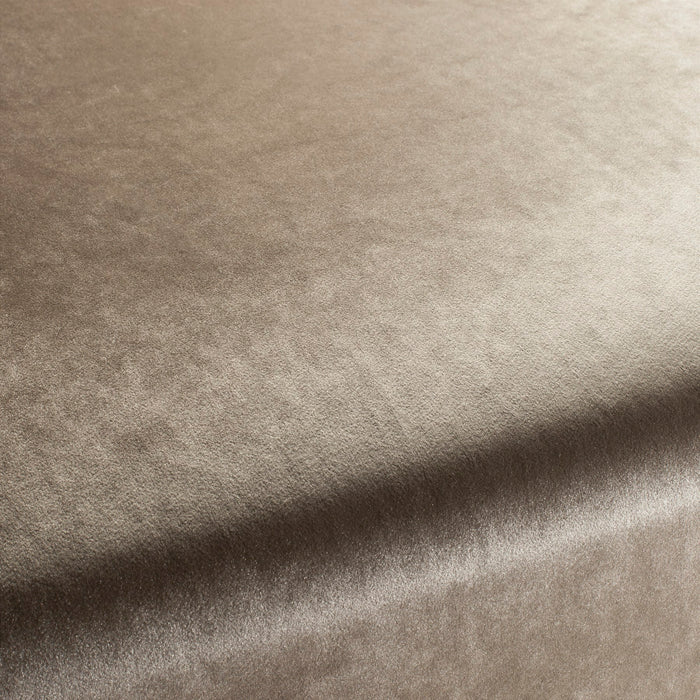 Carlucci Palazzo Velvet Reloaded 073 Fabric Sample CA1175/073