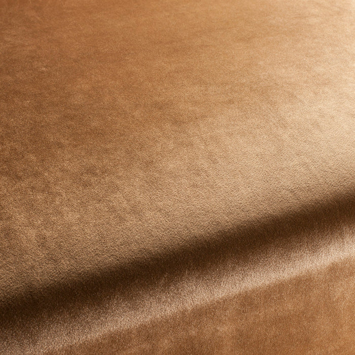 Carlucci Palazzo Velvet Reloaded 074 Fabric CA1175/074