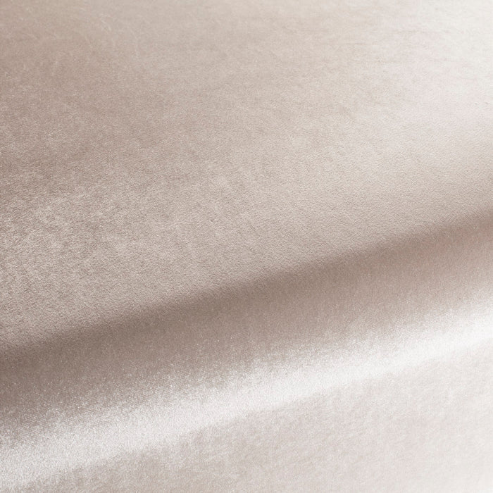 Carlucci Palazzo Velvet Reloaded 075 Fabric CA1175/075