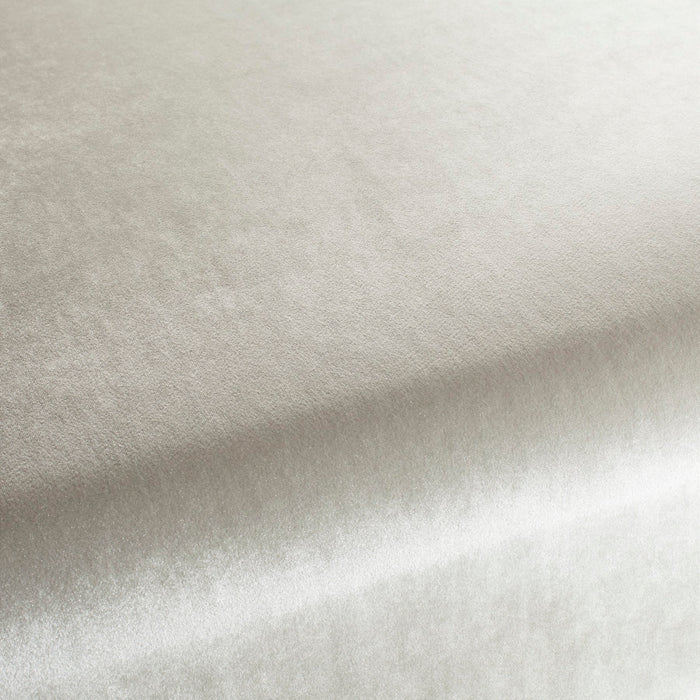 Carlucci Palazzo Velvet Reloaded 076 Fabric CA1175/076