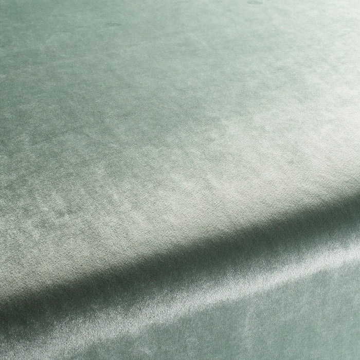 Carlucci Palazzo Velvet Reloaded 080 Fabric Sample CA1175/080