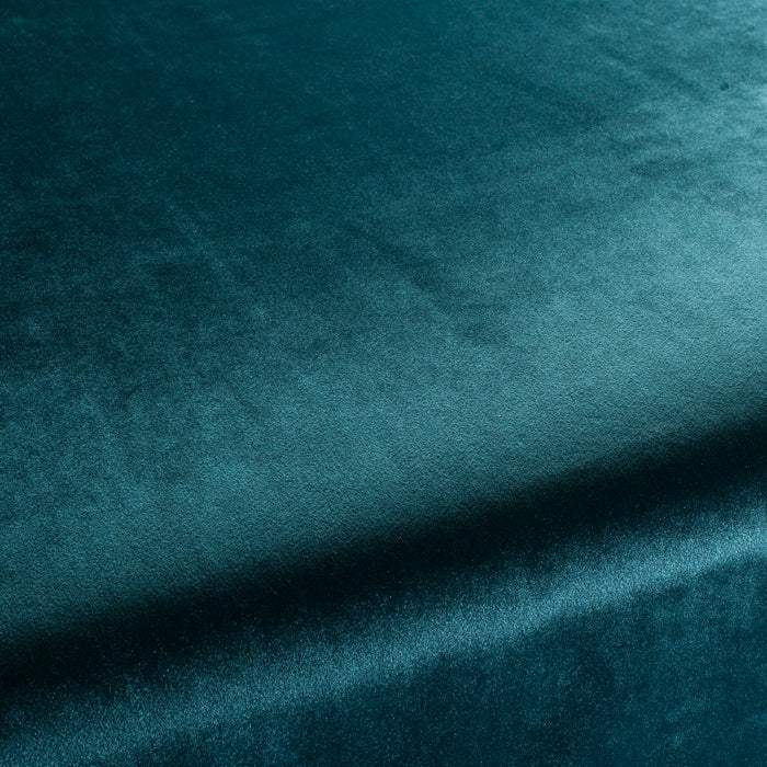 Carlucci Palazzo Velvet Reloaded 081 Fabric Sample CA1175/081