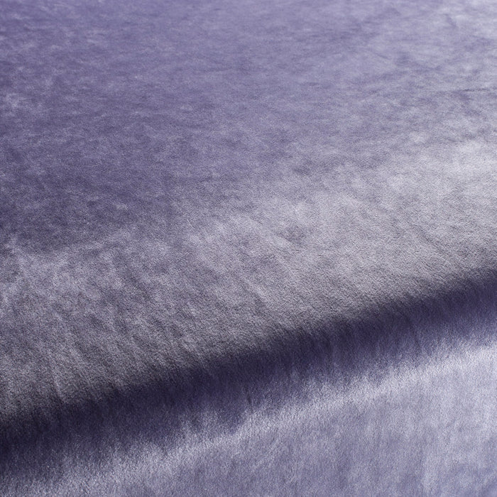 Carlucci Palazzo Velvet Reloaded 082 Fabric Sample CA1175/082