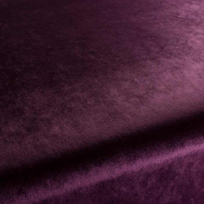 Carlucci Palazzo Velvet Reloaded 083 Fabric Sample CA1175/083
