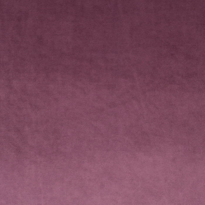 Carlucci Palazzo Velvet Reloaded 085 Fabric CA1175/085