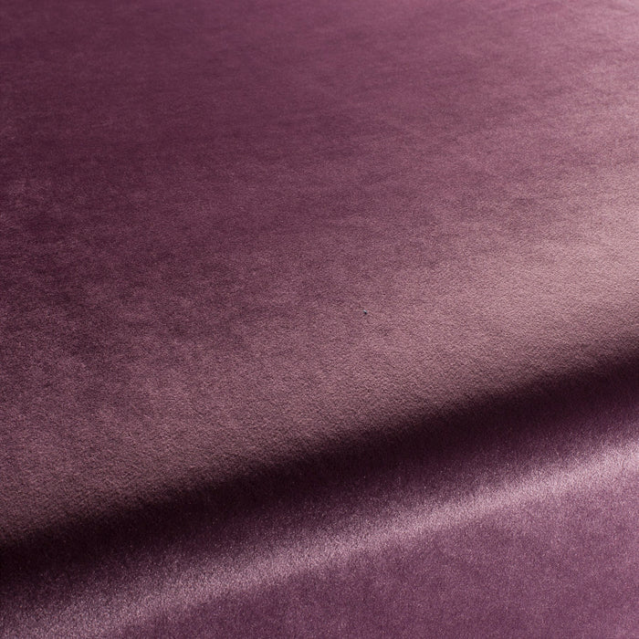 Carlucci Palazzo Velvet Reloaded 085 Fabric CA1175/085