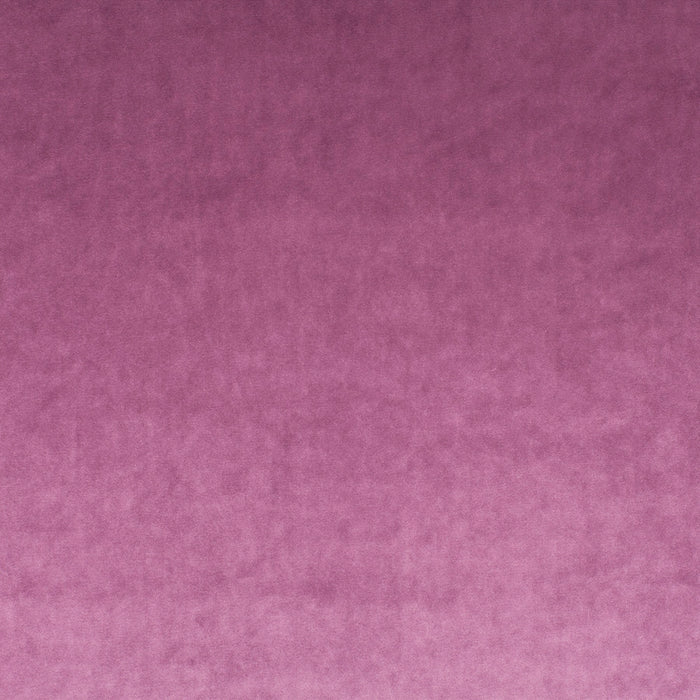 Carlucci Palazzo Velvet Reloaded 086 Fabric Sample CA1175/086