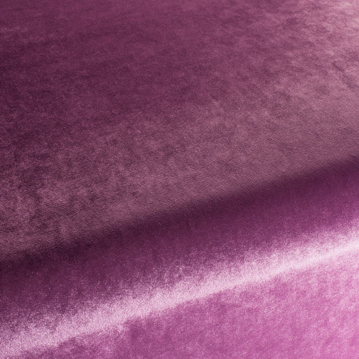 Carlucci Palazzo Velvet Reloaded 086 Fabric CA1175/086