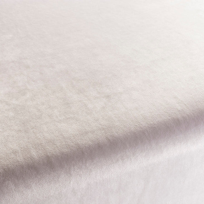 Carlucci Palazzo Velvet Reloaded 090 Fabric Sample CA1175/090