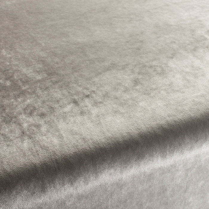 Carlucci Palazzo Velvet Reloaded 091 Fabric CA1175/091