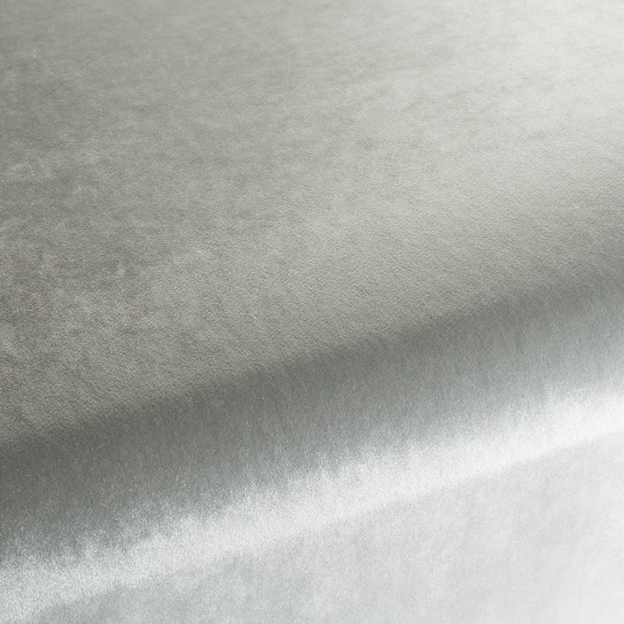 Carlucci Palazzo Velvet Reloaded 093 Fabric Sample CA1175/093