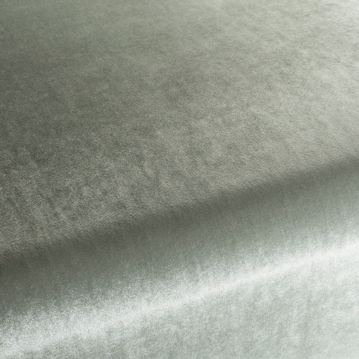 Carlucci Palazzo Velvet Reloaded 094 Fabric Sample CA1175/094