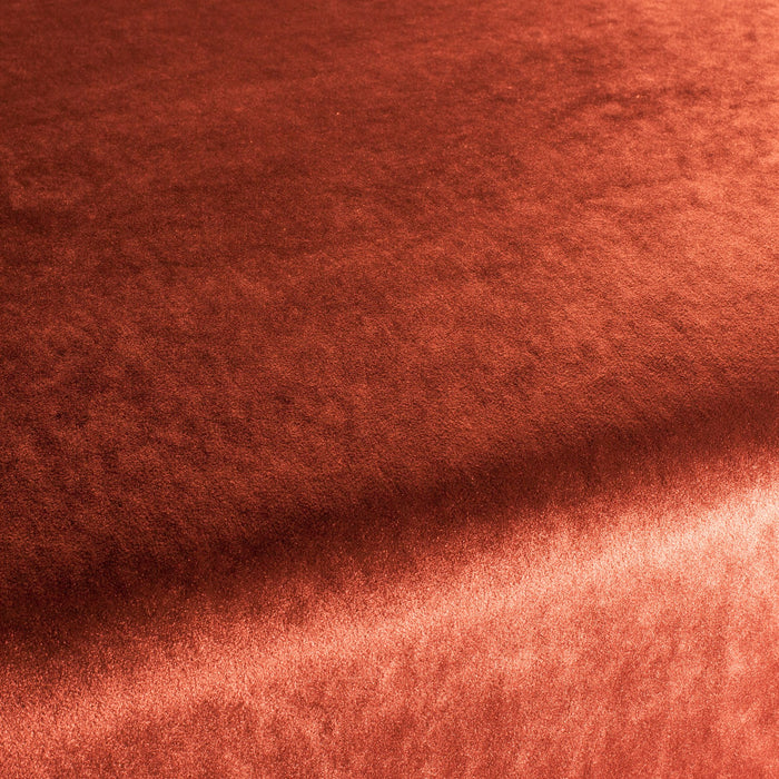 Carlucci Palazzo Velvet Reloaded 160 Fabric CA1175/160