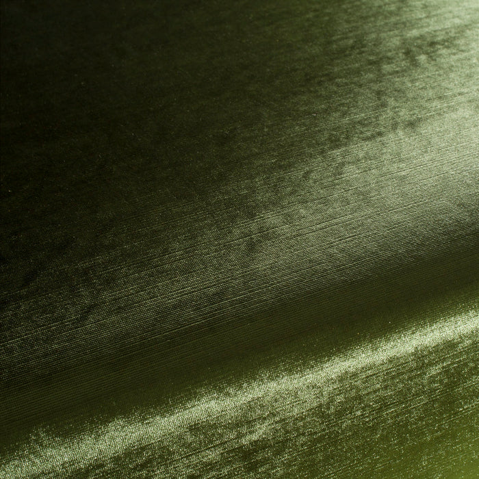 Carlucci Glossy Velvet 031 Fabric Sample CA1263/031