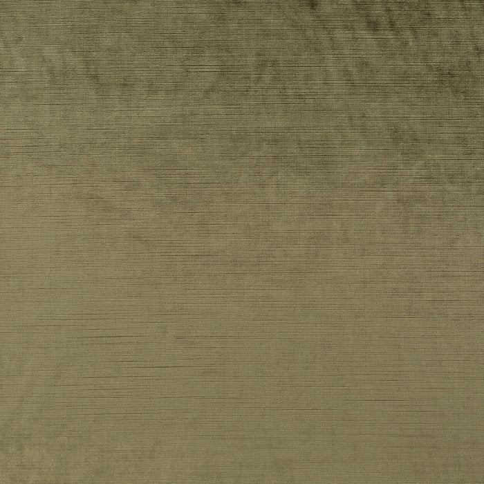 Carlucci Glossy Velvet 032 Fabric Sample CA1263/032