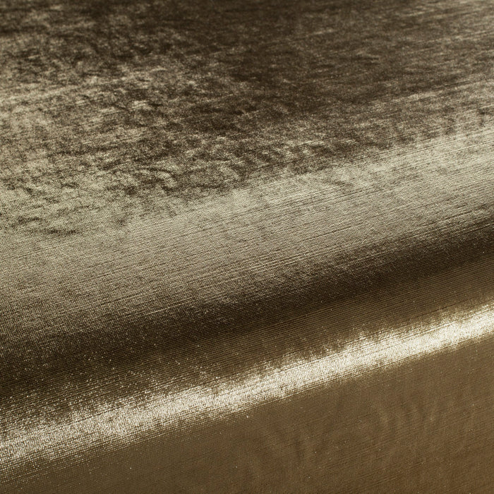 Carlucci Glossy Velvet 032 Fabric Sample CA1263/032