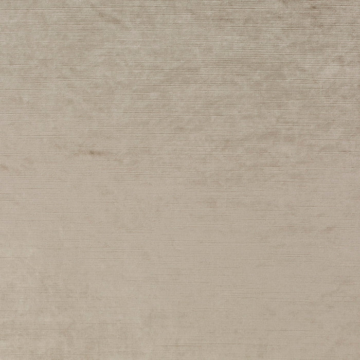 Carlucci Glossy Velvet 040 Fabric Sample CA1263/040