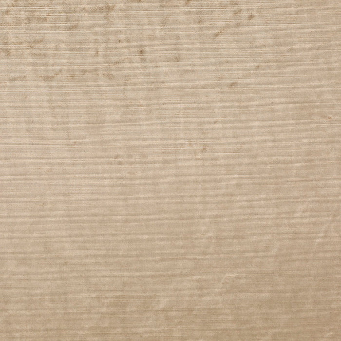 Carlucci Glossy Velvet 041 Fabric Sample CA1263/041