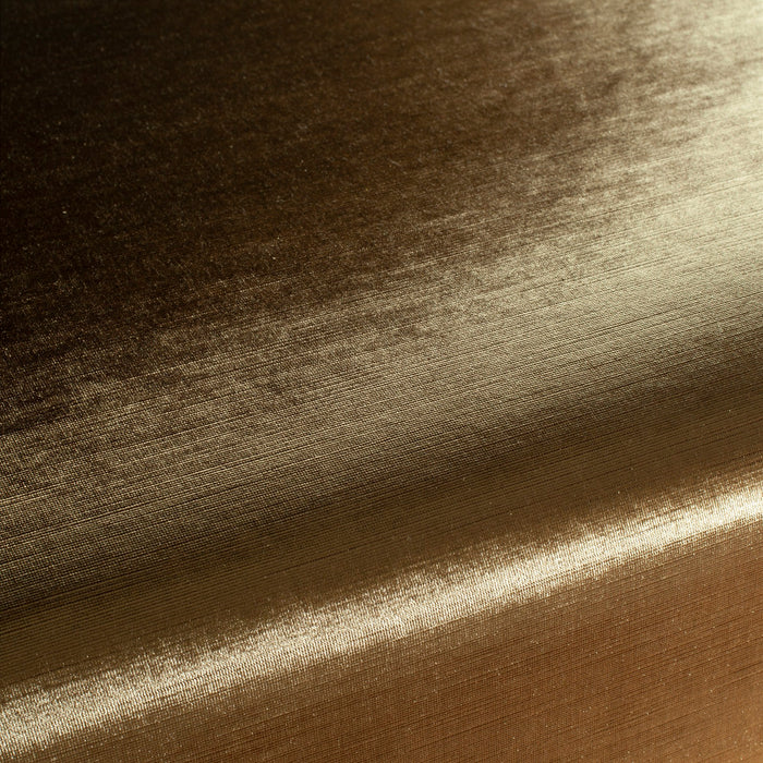 Carlucci Glossy Velvet 042 Fabric Sample CA1263/042