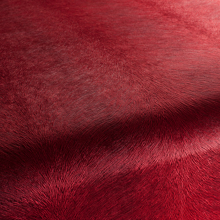 Carlucci Pistoia Velvet Reloaded 010 Fabric CA1292/010