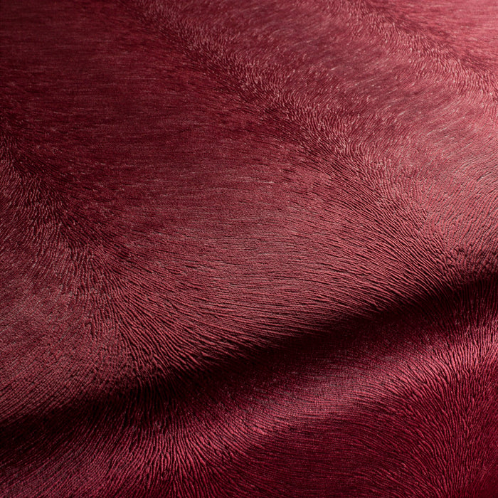Carlucci Pistoia Velvet Reloaded 011 Fabric CA1292/011