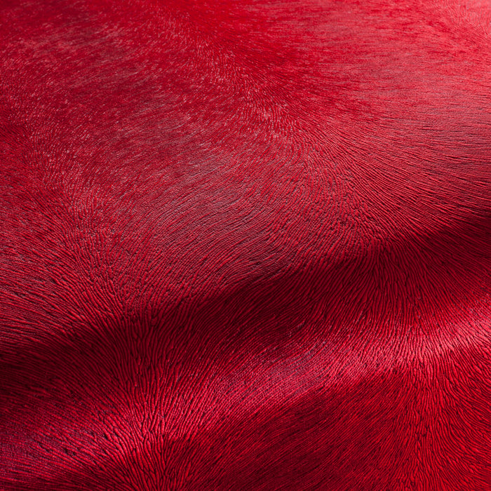 Carlucci Pistoia Velvet Reloaded 012 Fabric Sample CA1292/012