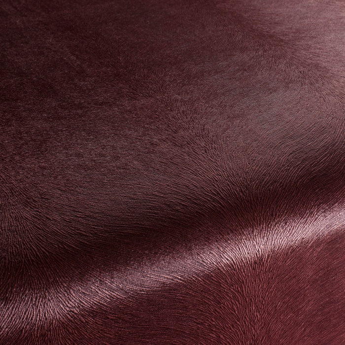 Carlucci Pistoia Velvet Reloaded 013 Fabric CA1292/013