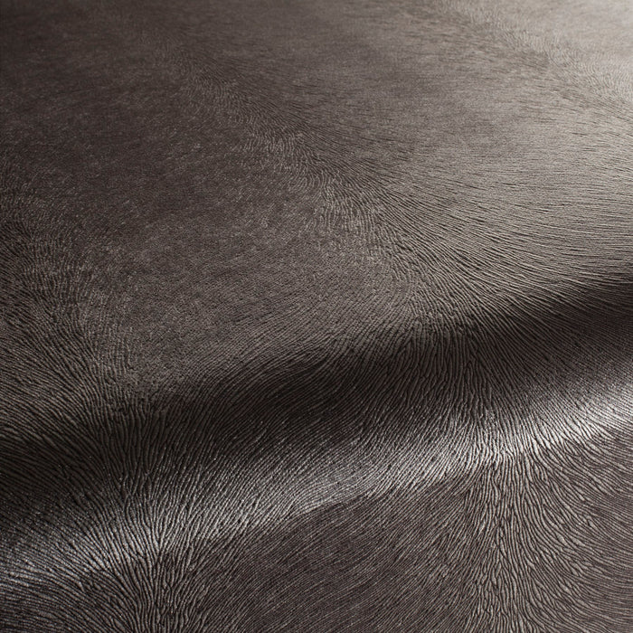 Carlucci Pistoia Velvet Reloaded 020 Fabric CA1292/020