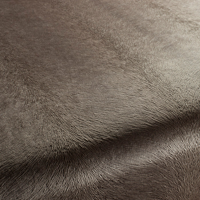 Carlucci Pistoia Velvet Reloaded 022 Fabric Sample CA1292/022