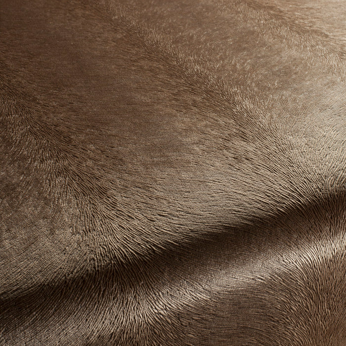 Carlucci Pistoia Velvet Reloaded 023 Fabric Sample CA1292/023