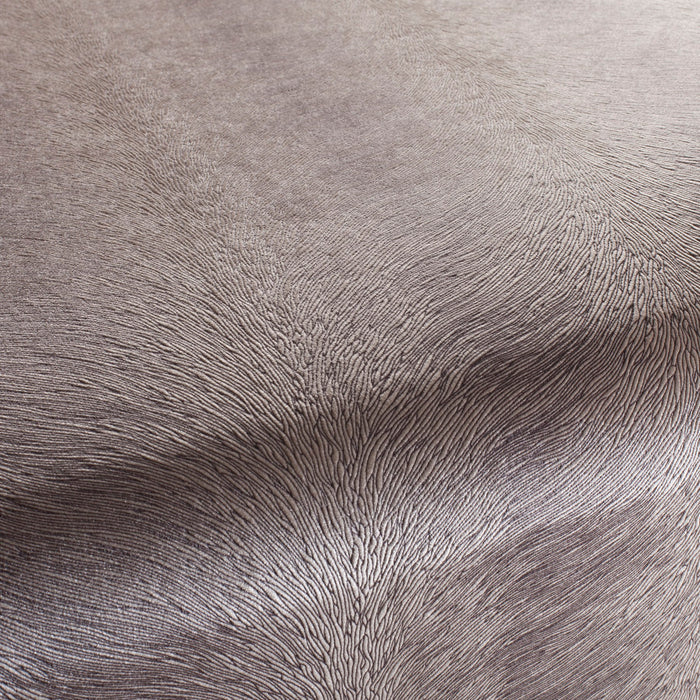 Carlucci Pistoia Velvet Reloaded 025 Fabric Sample CA1292/025