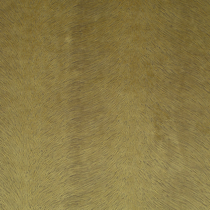 Carlucci Pistoia Velvet Reloaded 030 Fabric Sample CA1292/030