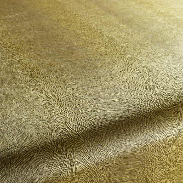 Carlucci Pistoia Velvet Reloaded 030 Fabric Sample CA1292/030
