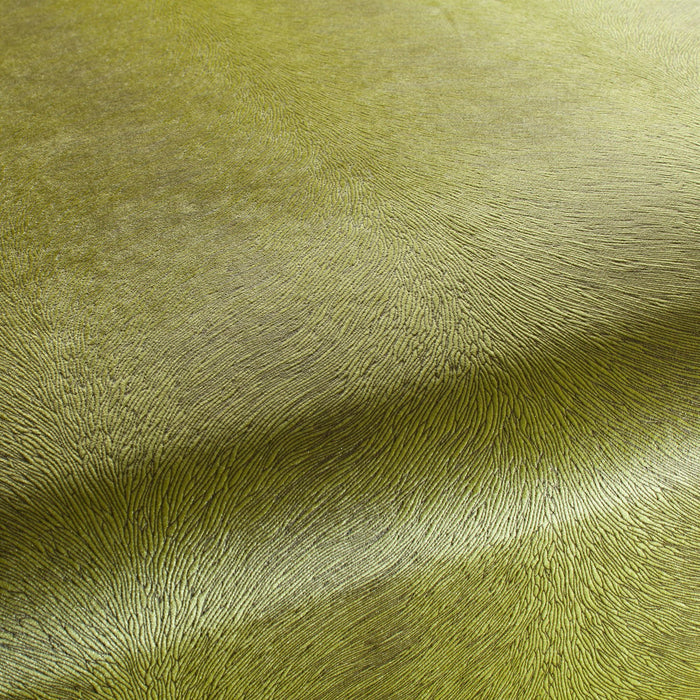 Carlucci Pistoia Velvet Reloaded 031 Fabric CA1292/031