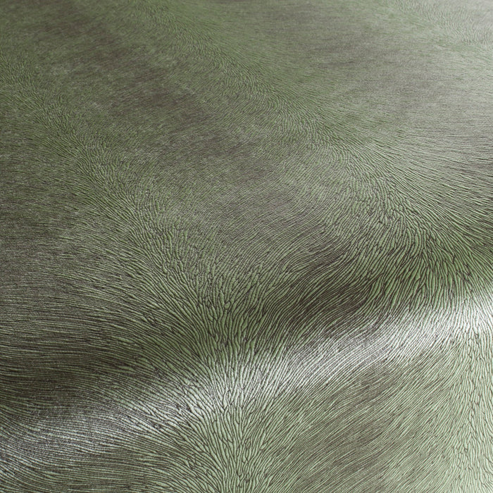 Carlucci Pistoia Velvet Reloaded 032 Fabric Sample CA1292/032