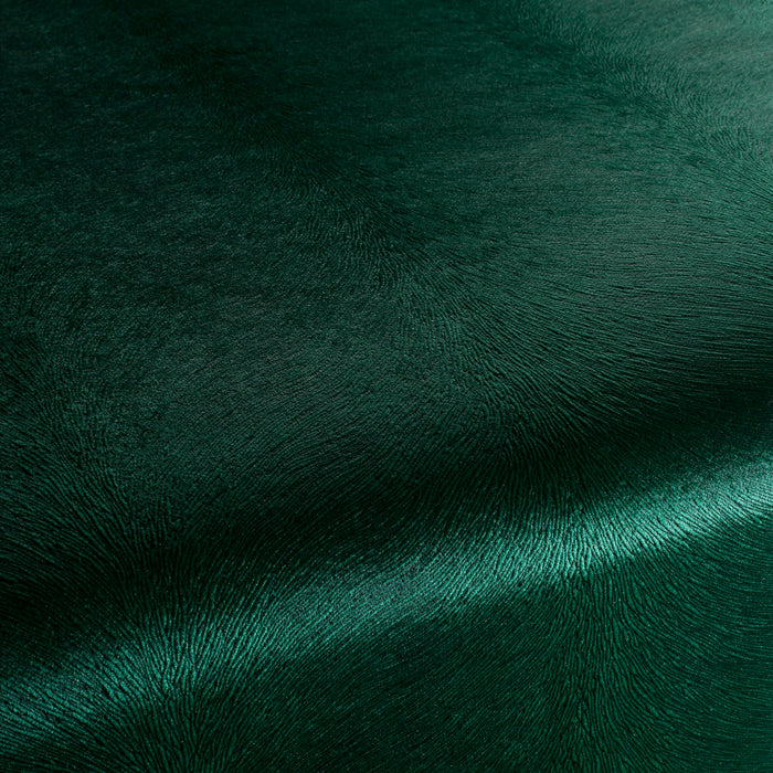 Carlucci Pistoia Velvet Reloaded 036 Fabric CA1292/036