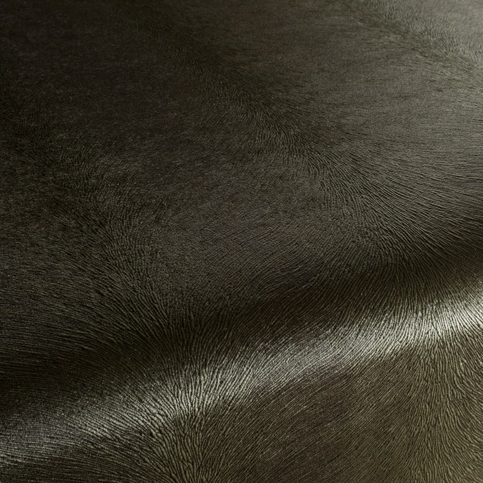 Carlucci Pistoia Velvet Reloaded 038 Fabric Sample CA1292/038