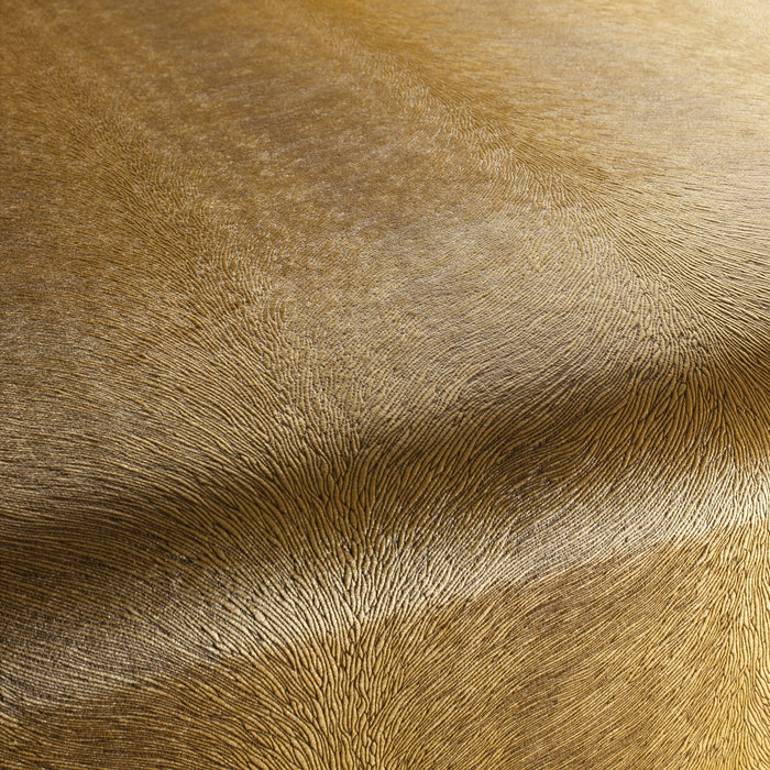 Carlucci Pistoia Velvet Reloaded 040 Fabric CA1292/040