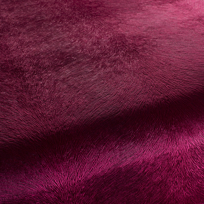 Carlucci Pistoia Velvet Reloaded 067 Fabric CA1292/067