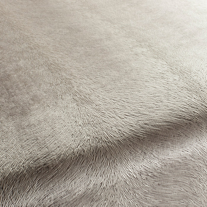 Carlucci Pistoia Velvet Reloaded 070 Fabric CA1292/070
