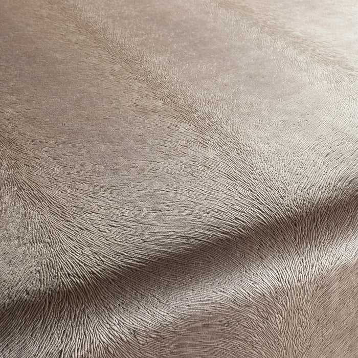 Carlucci Pistoia Velvet Reloaded 072 Fabric CA1292/072