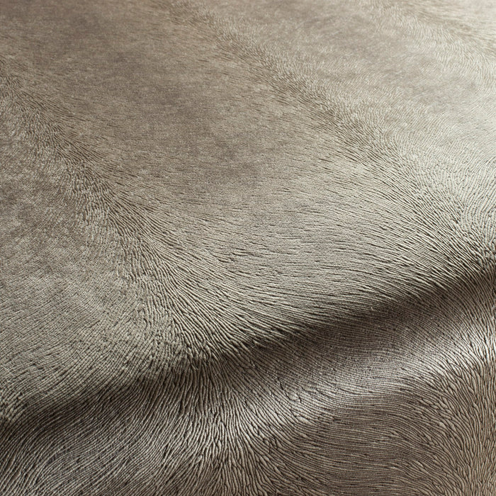 Carlucci Pistoia Velvet Reloaded 073 Fabric CA1292/073