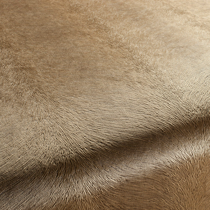 Carlucci Pistoia Velvet Reloaded 074 Fabric CA1292/074