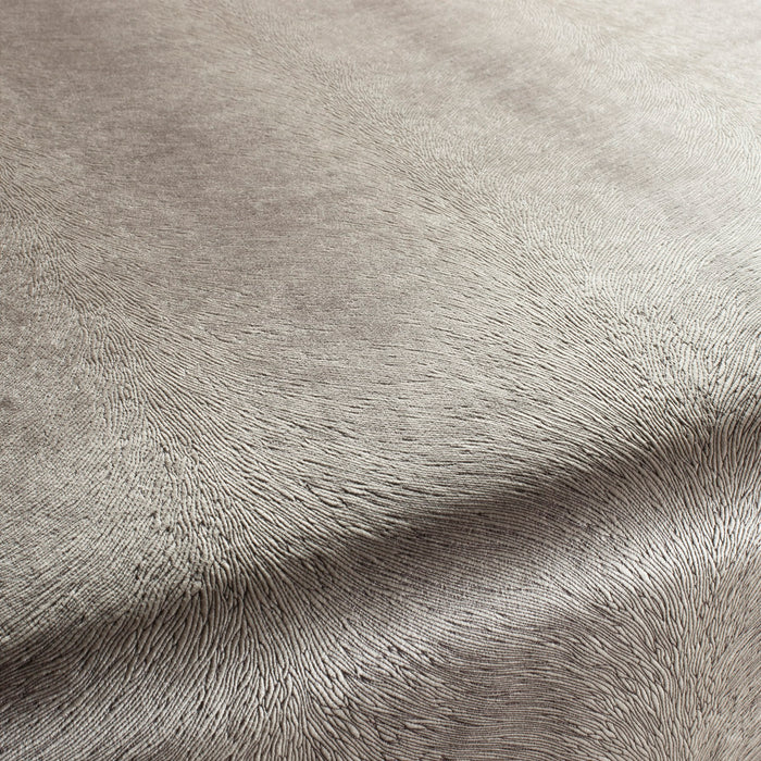 Carlucci Pistoia Velvet Reloaded 075 Fabric Sample CA1292/075
