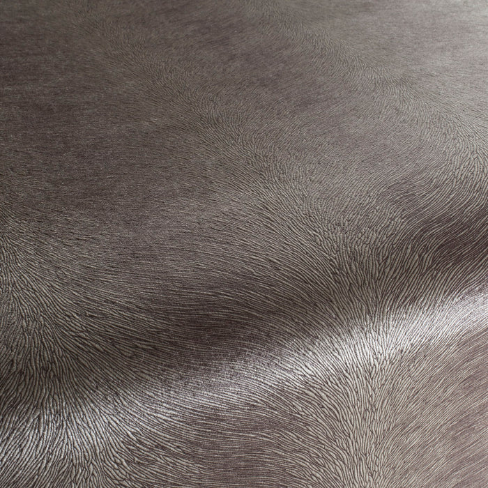 Carlucci Pistoia Velvet Reloaded 077 Fabric Sample CA1292/077