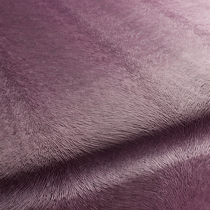 Carlucci Pistoia Velvet Reloaded 085 Fabric Sample CA1292/085