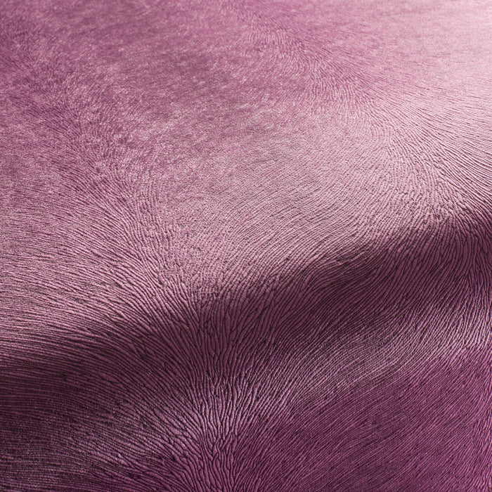 Carlucci Pistoia Velvet Reloaded 086 Fabric CA1292/086